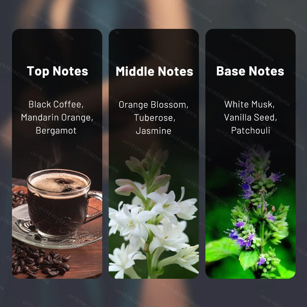 90Ml Luxury Perfume Scents Daily Fragrance Notes Perfume Woody Base Romantic Fragrance Lasting Experience Perfume Unisex Cologne